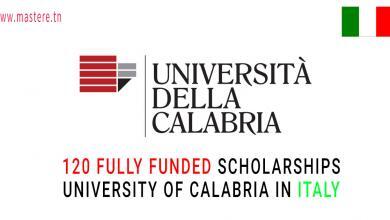 University of Calabria Scholarships for Foreign Students, Italy