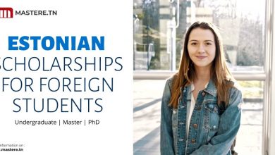 Estonian Scholarship program for foreign students