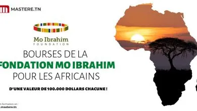 Les Bourses de Leadership MO Ibrahim pour les Africains