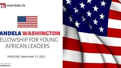 Mandela Washington Fellowship for Young African Leaders