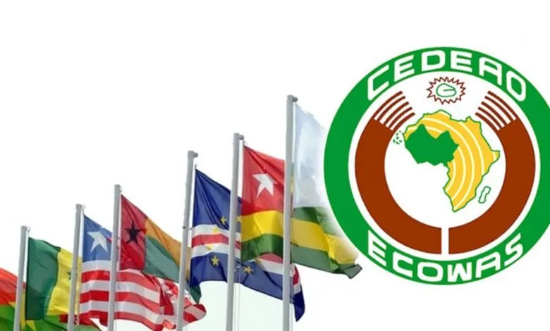 Bourse UE-CEDEAO pour les Étudiants de l'Afrique de l'Ouest