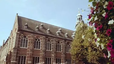 Leiden University Excellence Scholarship (LExS) in Netherlands